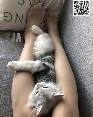 秀人网XiuRen大尺度_BD韩语免费观看电视剧